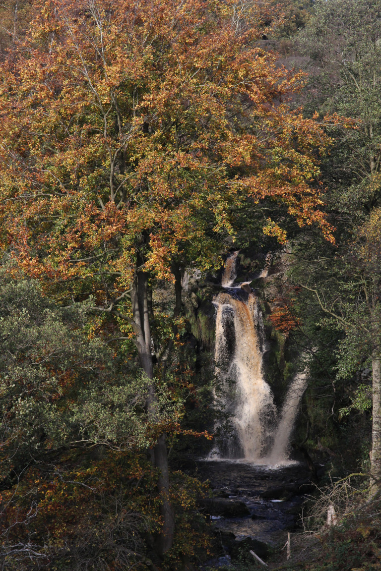 Waterfall, Valley of Desolation, North Yorkshire